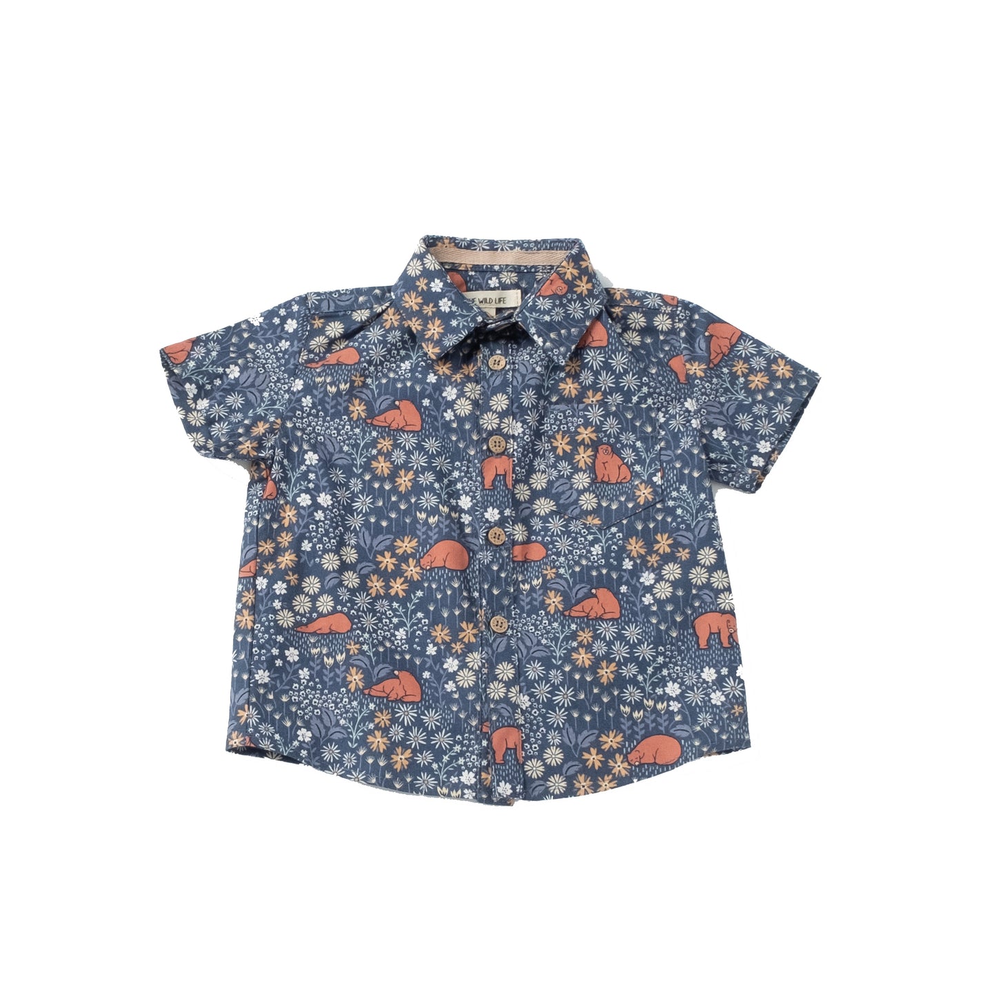 Pre-Order Boy's Button down Camp Shirts in sizes 8-12