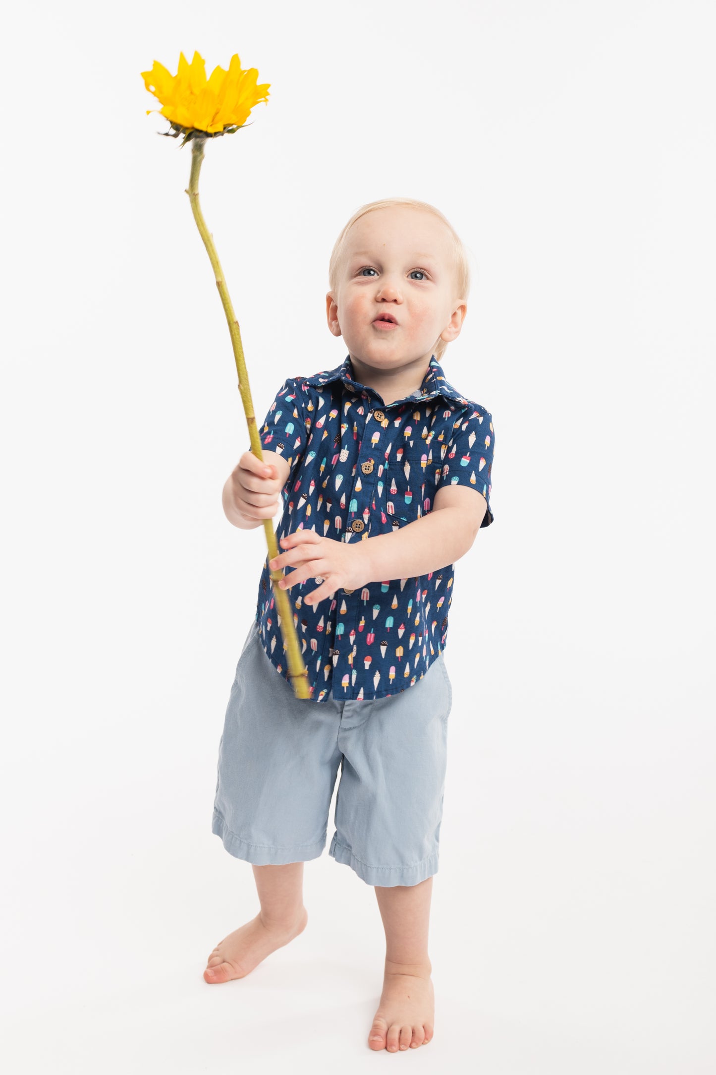 Camp Button Down, Eiscreme