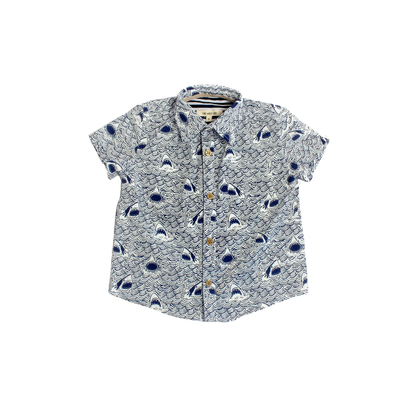 Camp Button-Down, Hai