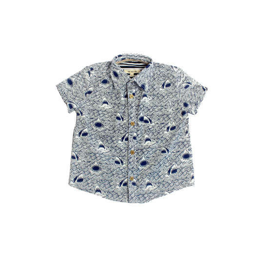 Camp Button Down, Shark