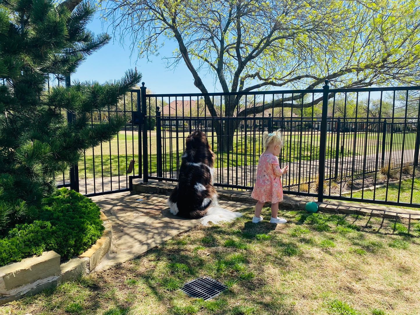 Sage Dress, Cherry Blossom